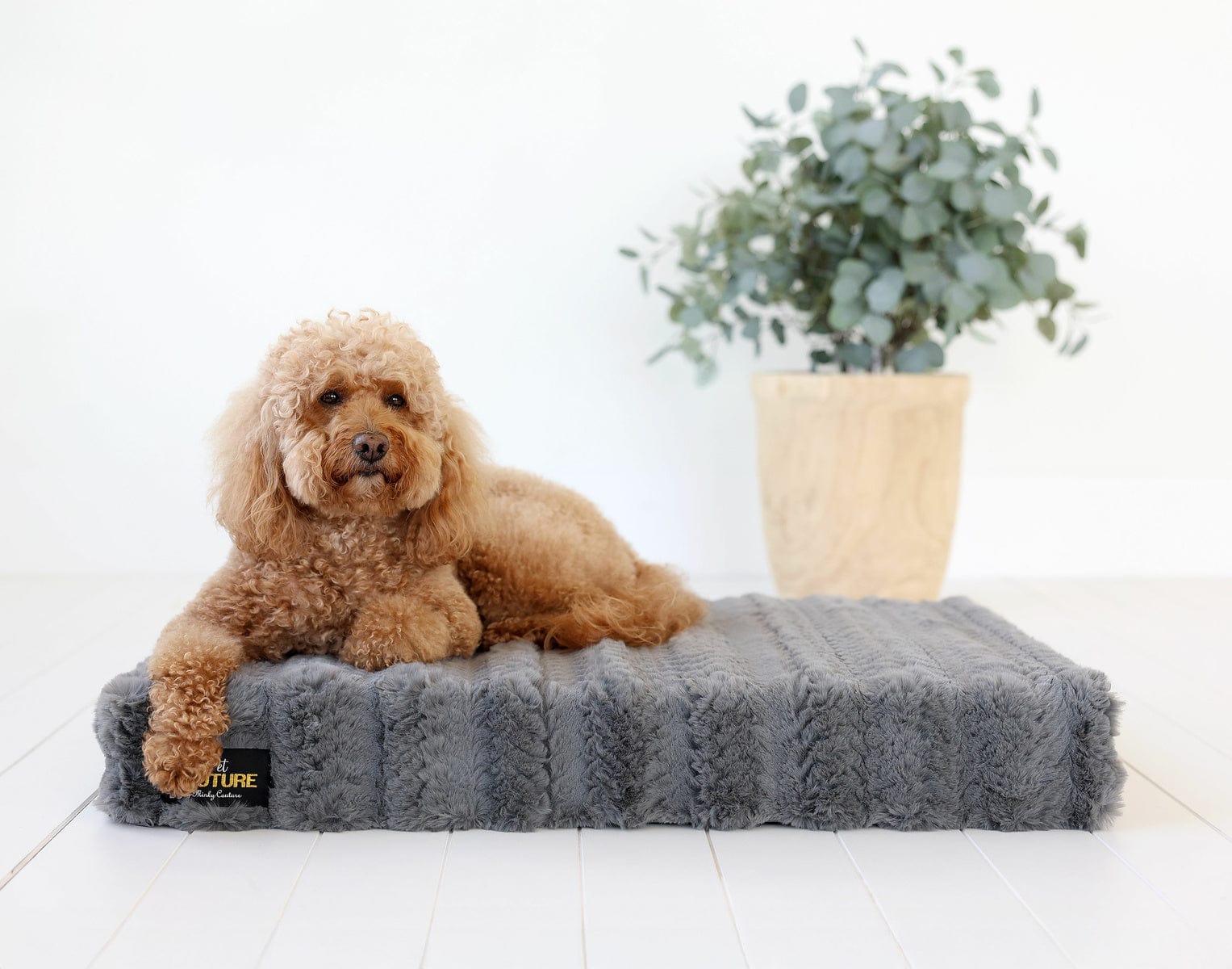 Charcoal Plume Pet Crate Pad