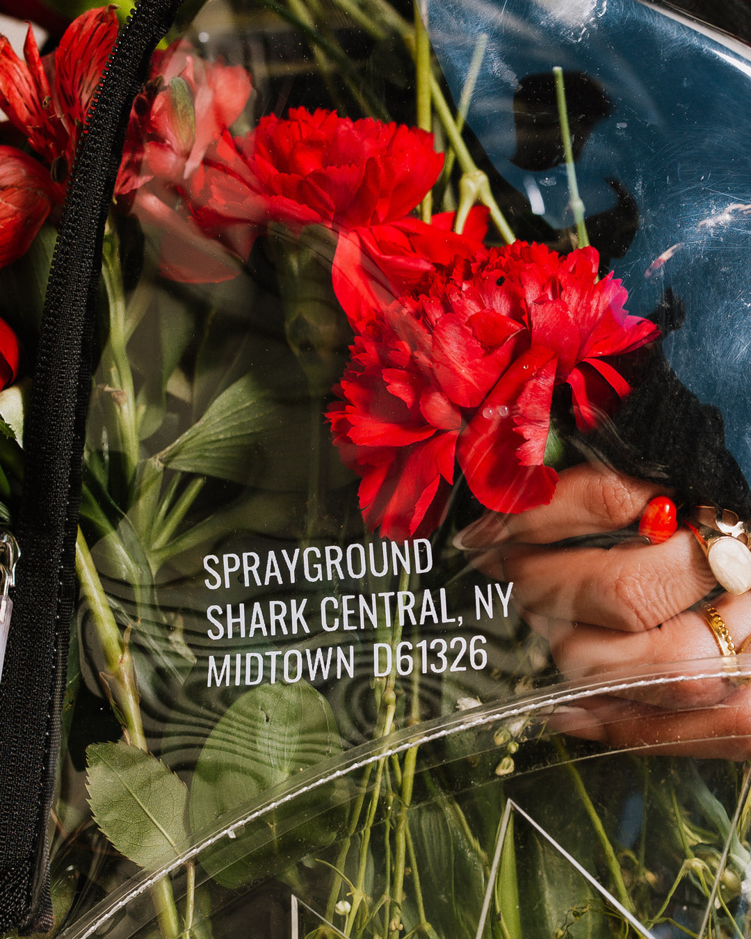 100% CLEAR BACKPACK - SHARK CENTRAL