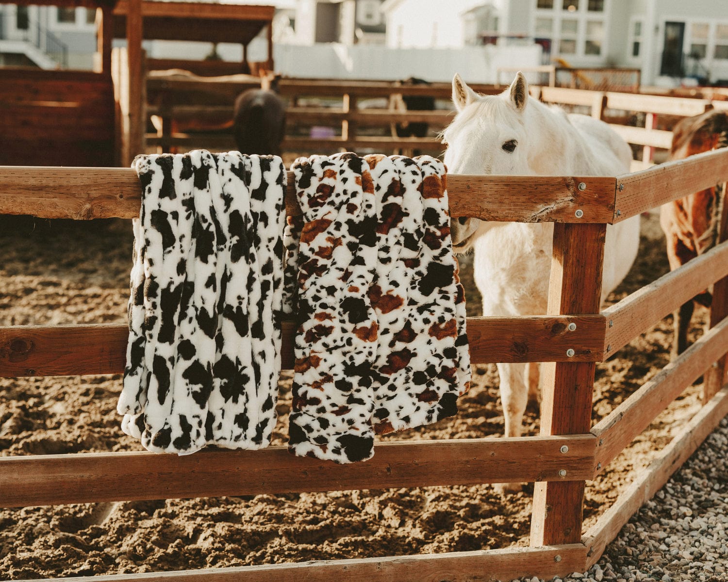 Hugs Brown Cow Blanket