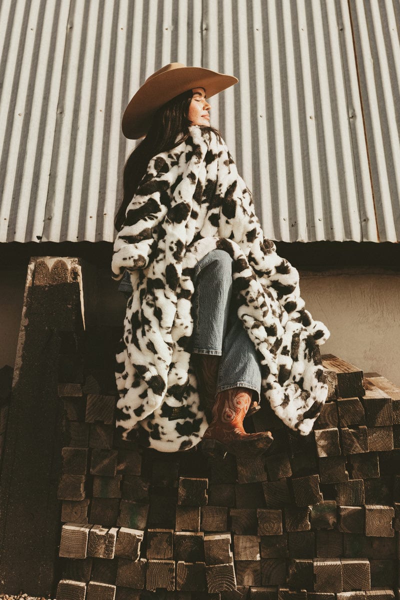 Hugs Black Cow Blanket